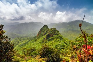 Landscape view of El Yunque forest.