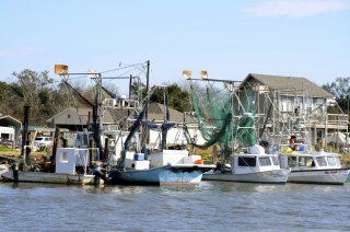 Well-equipped commercial fishing boats with trawlers, buoys, and nets along the shore.