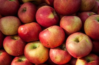 Pile of red, pink, and yellow apples.