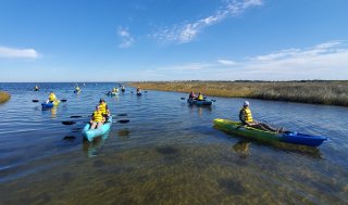 Group of people kayaking in a marsh.
