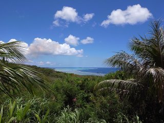 A landscape of the ocean with white clouds and a palm tree forest in the foreground.