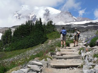 A visitor and volunteer chat on the Skyline Trail with Mount Rainer in the background.