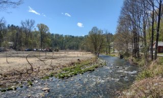 Tree plantings on the restored Whetstone Brook floodplain (photo credit: Vermont River Conservancy)