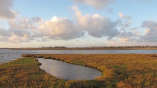 Beautiful saltmarsh in the Northeast, with fluffy clouds in the sky