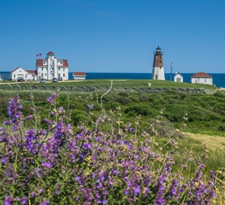 Beautiful purple flowers in the foreground set the stage for grass that leads up to an iconic white and tan lighthouse, with the sea in the distance.