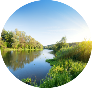 A river with vegetation along the embankment.