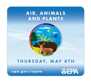 Air, Animals, and Plants, Thursday, May 8