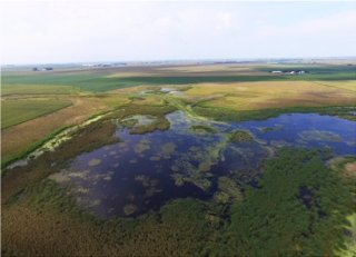 Example of a water quality wetland installed in the Des Moines Lobe of Iowa (Iowa Prairie pothole)
