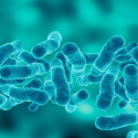 Close up picture of microbes