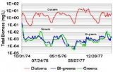 Predictive relative abundance of algal groups