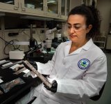 An EPA research engineer sitting in lab next to bench top with samples of lead service lines.