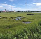 Image of a saltwater marsh with a wind turbine, water tower, and buildings in the background. 
