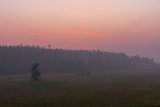 smoggy air quality in the pacific northwest region