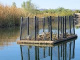 A man-made floating island in the middle of a lake